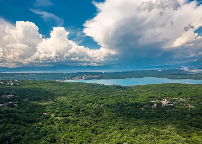 Ljuba Vi *