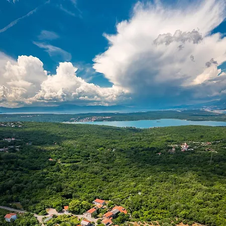 Ljuba Vi *
