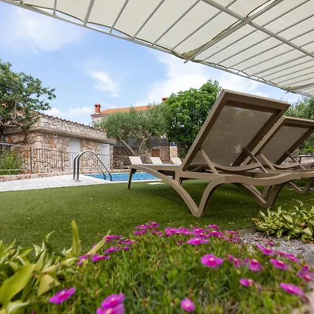 Villa Ljuba Vi *