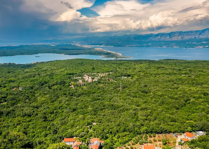 Ljuba Vi * Županje